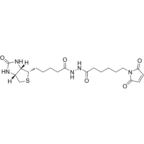 Biotin-maleimide 116919-18-7